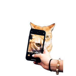 A Person Takes A Close Up Shot Of A Ginger Cat Using A Smartphone. The Cat'S Face Is Zoomed In On The Phone Screen. 16109 - Cat PNG image with transparent background